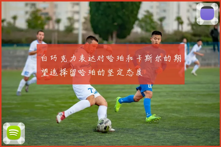 白巧克力表达对哈珀和卡斯尔的期望选择留哈珀的坚定态度